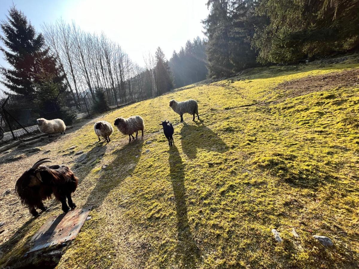 Villa Ferme des Jonquilles à Gérardmer Extérieur photo