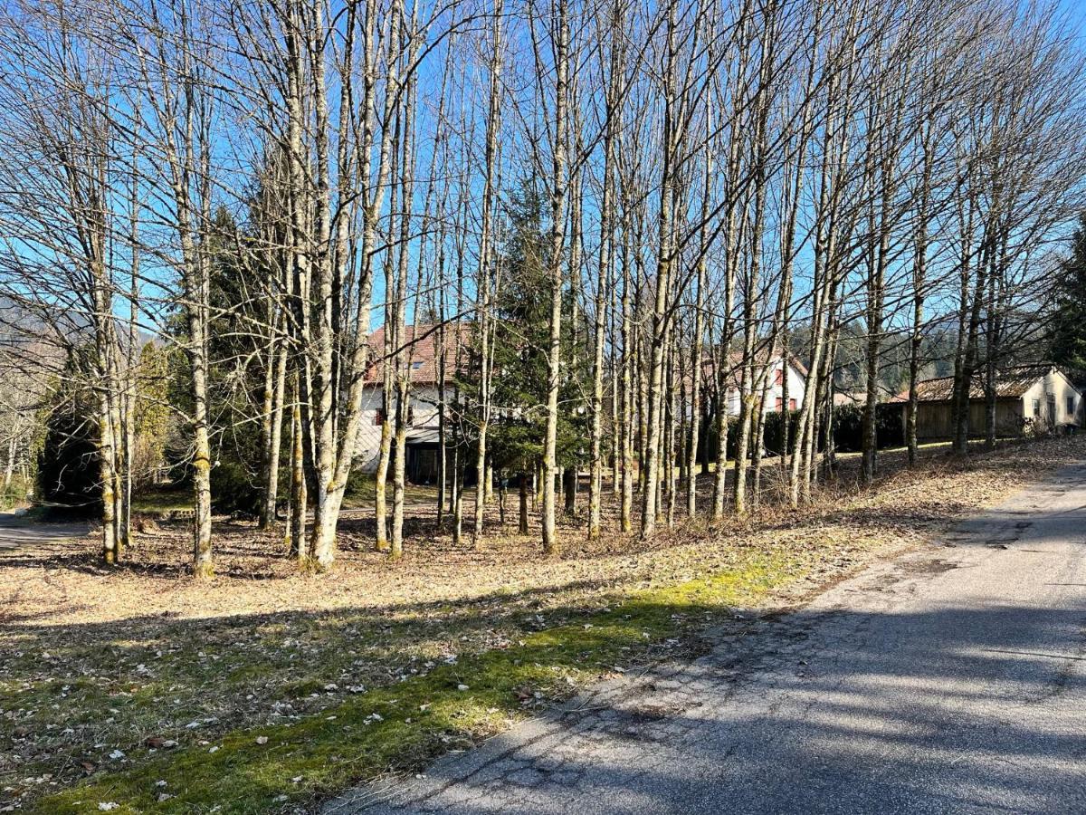 Villa Ferme des Jonquilles à Gérardmer Extérieur photo